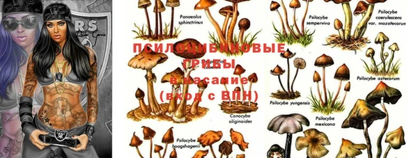скорость Семикаракорск
