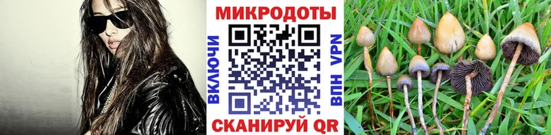 darknet наркотические препараты  Верея  Псилоцибиновые грибы Magic Shrooms 